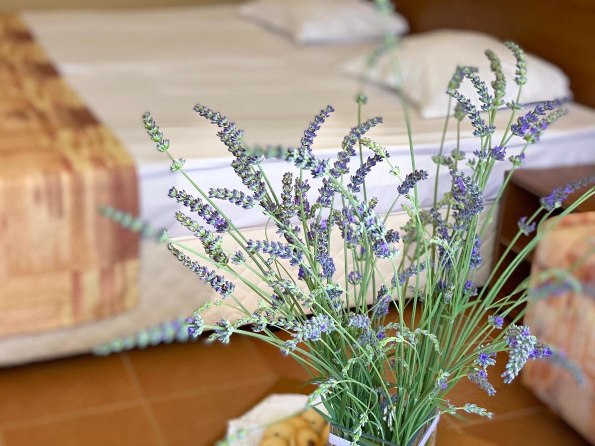 Hotel Plamena Palace Primorsko Dış mekan fotoğraf
