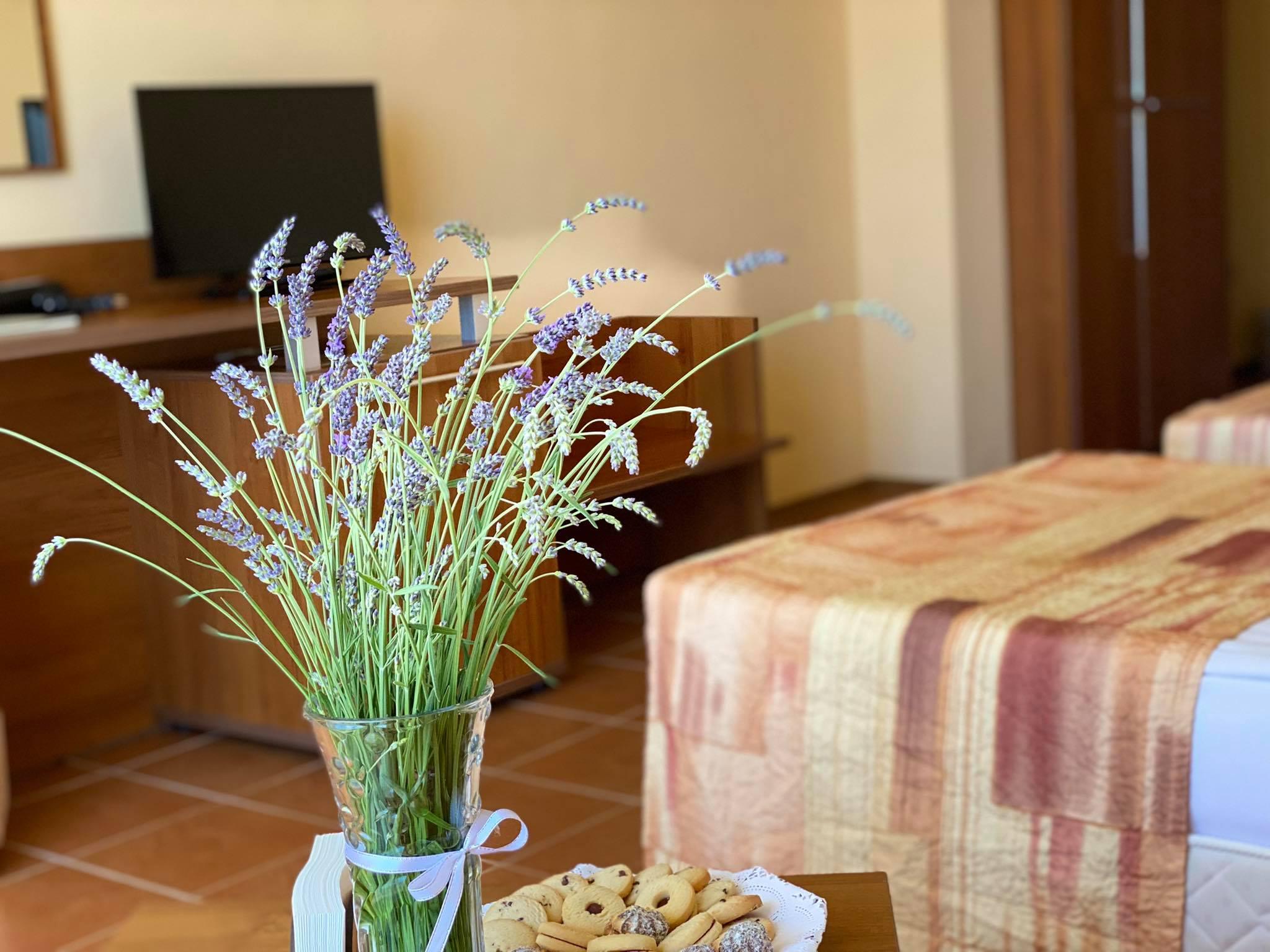 Hotel Plamena Palace Primorsko Dış mekan fotoğraf
